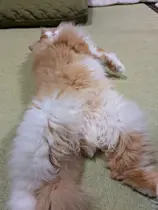 横溝 夢結のプロフィール画像