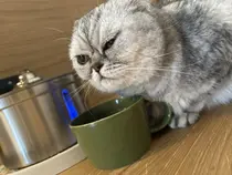 無料研修モデル募集 nail mor.のプロフィール画像