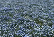 eyelist SUZUKAのプロフィール画像