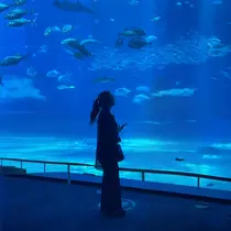 キサラ🖤竹下通り 🖤まつパ/パリのプロフィール画像