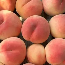 江川 愛依のプロフィール画像