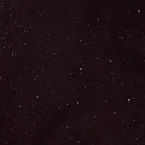 nail salon Riiのプロフィール画像