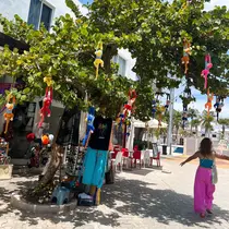 S natsumiのプロフィール画像