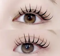 Aprile アプリーレのプロフィール画像