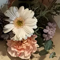 Lusso Cocoroのプロフィール画像