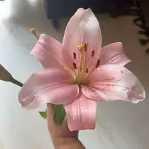 横浜アイリスト | araiのプロフィール画像