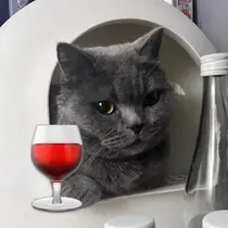 suk sallyのプロフィール画像