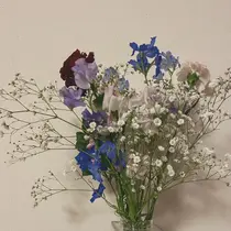 許田 心渚のプロフィール画像
