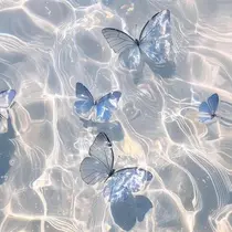 Kodama Hanakaのプロフィール画像