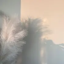 KODA308 Saoriのプロフィール画像