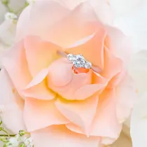 ꕤ︎︎牧野 麻衣ꕤ︎︎のプロフィール画像