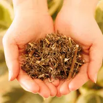 よもぎ蒸し TOWA大宮のプロフィール画像