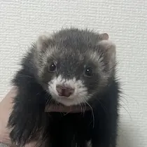 唯 月のプロフィール画像