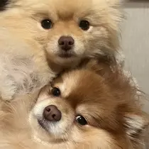 amii.nail mayukaのプロフィール画像