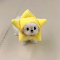 安部🍑下北沢 eyelist˚✧₊のプロフィール画像