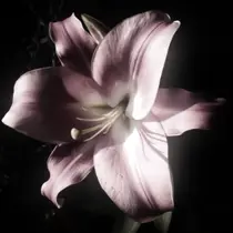 Sacco名駅店 黒淵のプロフィール画像