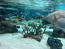 ma tsuのプロフィール画像