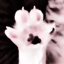 🎀束感/上下エク/ 𝐑𝐔𝐀🎀♡のプロフィール画像