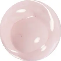 Laurel yuaのプロフィール画像