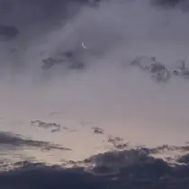 arch 杉山 もえのプロフィール画像