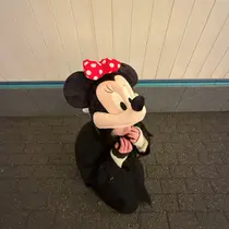 渡邉 優愛のプロフィール画像