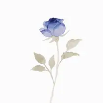 【Lino】 haragaのプロフィール画像