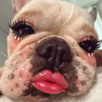 NAILIST Mana💋のプロフィール画像