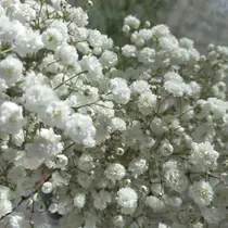 アイリスト HANAのプロフィール画像