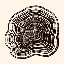 ネイルスクールW京橋 ✴︎ひのうえのプロフィール画像