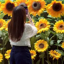 Cheri moekaのプロフィール画像