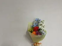 齋藤 佳奈のプロフィール画像