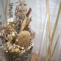 小島 碧衣のプロフィール画像