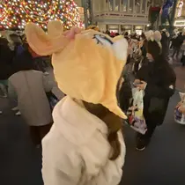 矢口 朝香のプロフィール画像