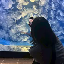 砂田 映瑠のプロフィール画像