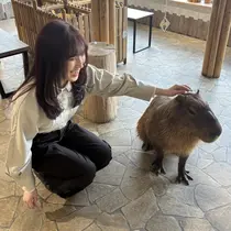 カットモデル募集中 Yuri🦌♡のプロフィール画像