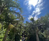 Neale. yumiのプロフィール画像