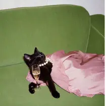 sususu駒澤大学 Azusaのプロフィール画像