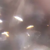 Lupines Asahi🔆のプロフィール画像