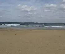 阿比留 淳子のプロフィール画像