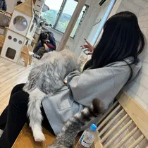 🌞 エマ🥑のプロフィール画像