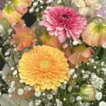 半藤 菜月のプロフィール画像