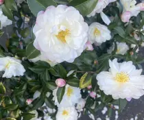 す みのプロフィール画像