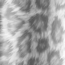 NAIL atre SAEのプロフィール画像