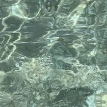 Miyu🧤 REBEST心斎橋店のプロフィール画像