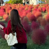 SeneL🎀 YURIKAのプロフィール画像