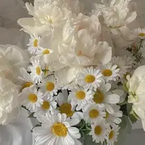 中水流 虹々美のプロフィール画像