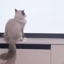 金口 綾華のプロフィール画像