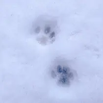 マキア 水戸赤塚店 大貫のプロフィール画像