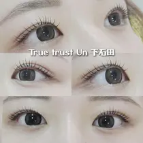 true trust eyelashのプロフィール画像