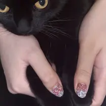 HITOMI まおのプロフィール画像